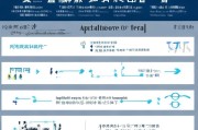 2024最新指南荆州人才补贴怎么申请？条件、流程、材料全解析