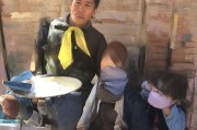 泰安领养小狗领取指南