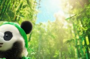 轻松领取绿色熊猫贴—让环保成为日常习惯