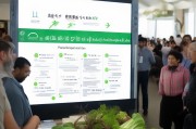 襄阳市蔬菜补贴申请指南，政策解读、流程详解与实用建议