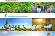 哈尔滨大豆良种补贴申请指南，政策红利直达田间，助力农户增收增效