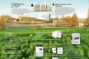 养牛补贴每年申请次数全解析，政策、流程与注意事项