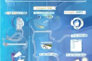 办选厂申请流程全解析，从准备到获批的每一步