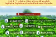 西安蔬菜移栽补贴申请指南，政策解读、流程详解与注意事项
