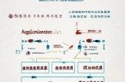 广州基础工作补贴申请全攻略，条件、流程、注意事项详解