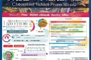 重庆皮卡购车补贴政策全面解析，申请条件、流程与红利全攻略