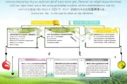 2022年农业补贴申请全攻略，政策解读、流程指南与注意事项