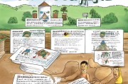 农村生育补贴申请流程指南