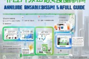 深圳积分制入学补贴申请全攻略，条件、流程与注意事项