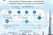青岛企业出国补贴申请全攻略，政策解读、流程指引与实战技巧