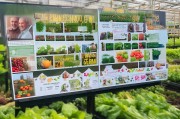 大棚蔬菜补贴申请全攻略，政策解读、流程指南与成功案例