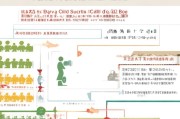 广西生育补贴申请流程全攻略，条件、材料、步骤详解