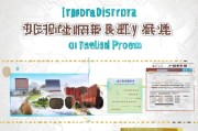 金坛区人才补贴领取指南