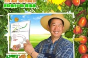 扶绥坚果种植户注意，2024年补贴申请指南来了！助您产业增收