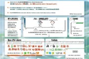 都安瑶族自治县返乡创业补贴申请全攻略，政策解读、流程指引与成功案例