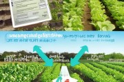 种菜养殖补贴申请全攻略，从政策解读到资金到账，助您轻松拿补贴